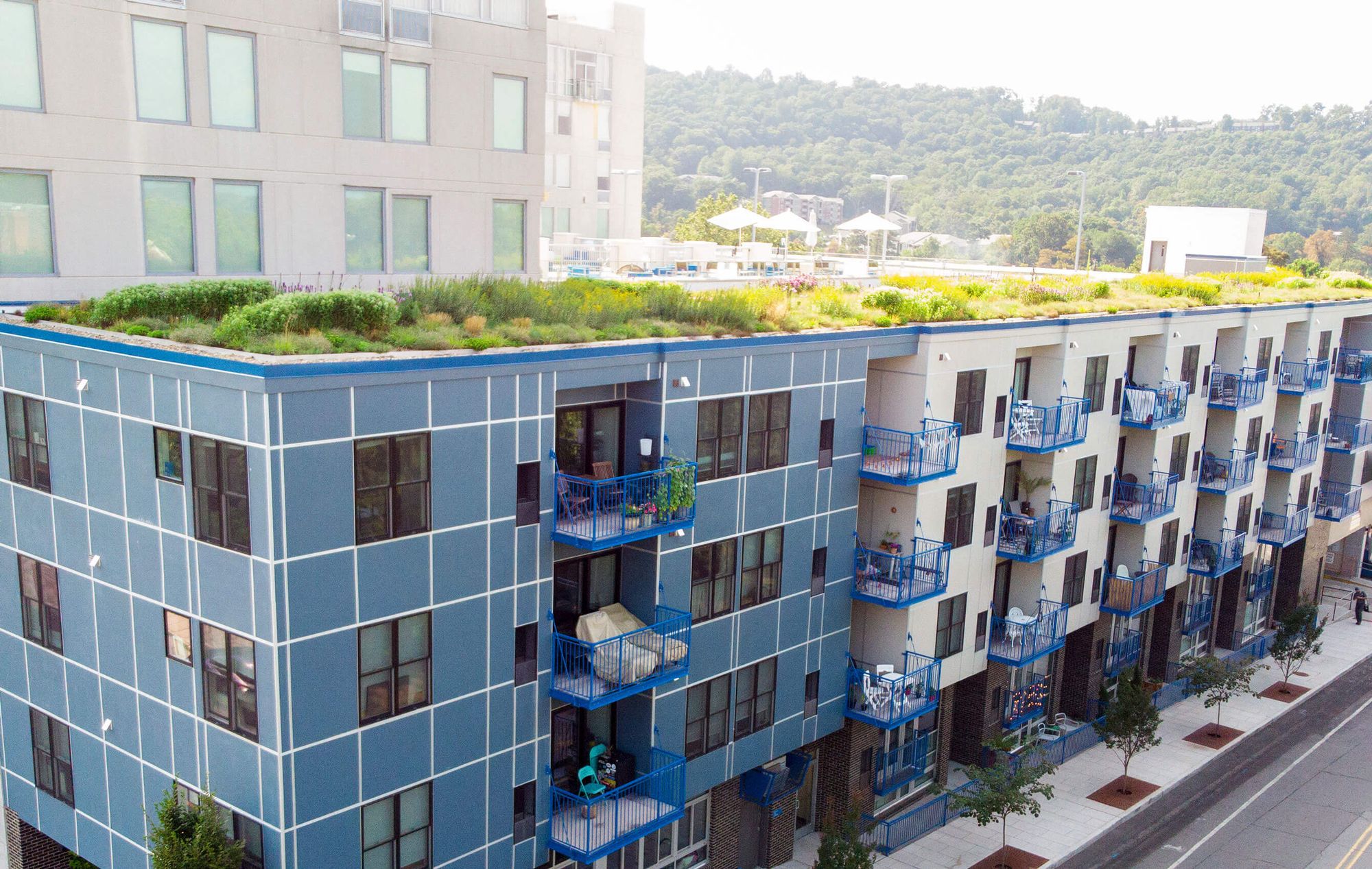 Picture of Green Roof Project Portfolio :: Living Roofs Inc.